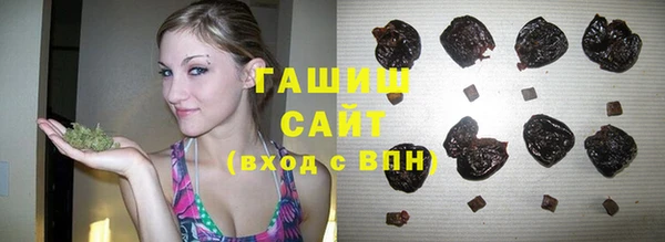 стафф Новозыбков