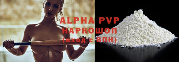 стафф Новозыбков