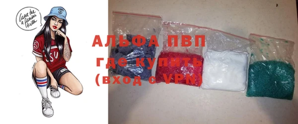 стафф Новозыбков