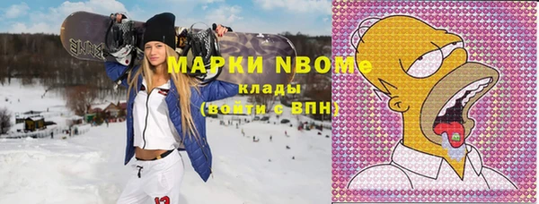 стафф Новозыбков