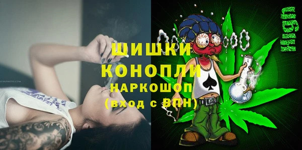 стафф Новозыбков