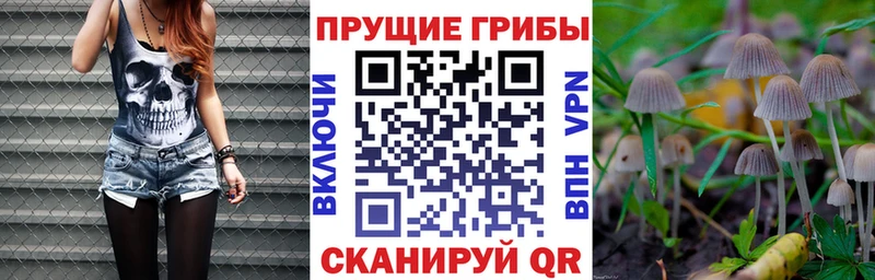 Псилоцибиновые грибы прущие грибы где продают Менделеевск