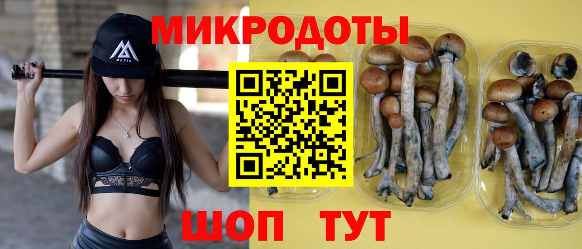 Галлюциногенные грибы ЛСД  Галлюциногенные грибы мухоморы  Вход с VPN  Менделеевск 