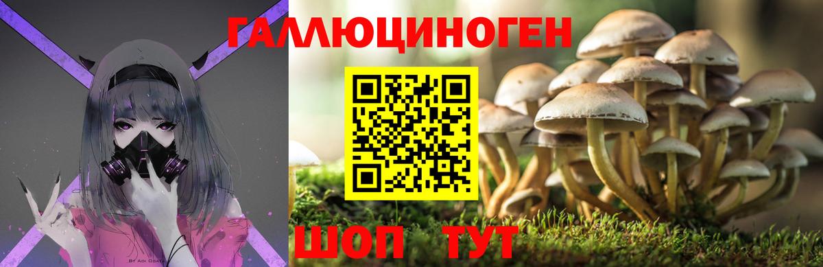 Галлюциногенные грибы мухоморы Менделеевск